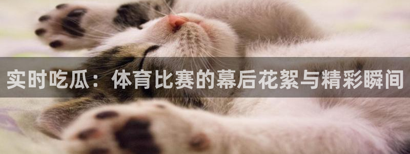 最新吃瓜今日更新