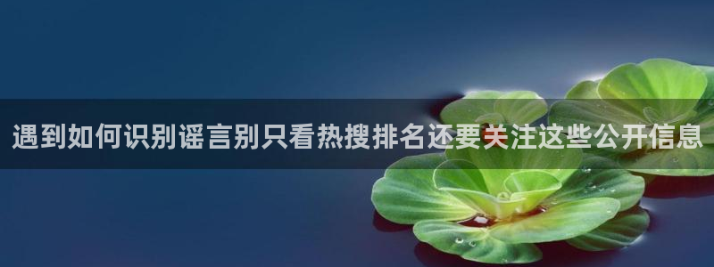 网红吃瓜后续进展