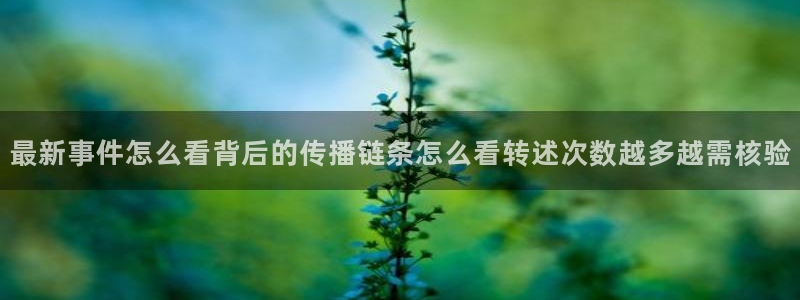 吃瓜真相公开回应