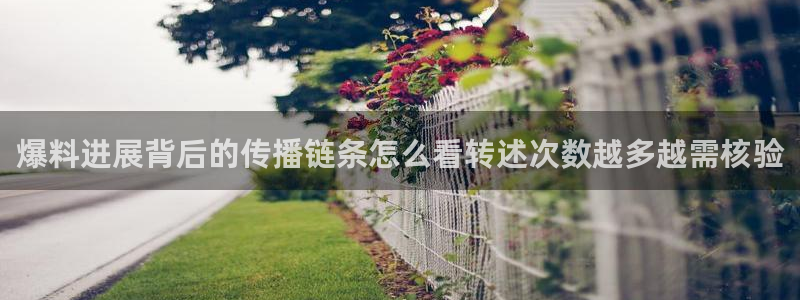 吃瓜真相后续进展