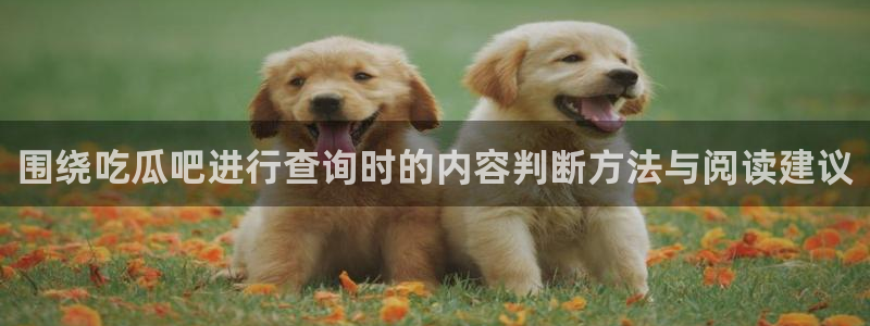 吃瓜后续进展