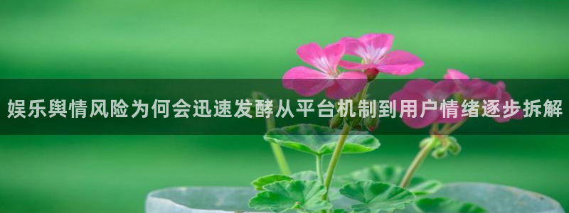 51吃瓜