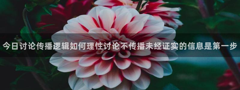 最新吃瓜后续进展