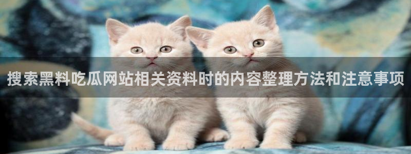 网络热点